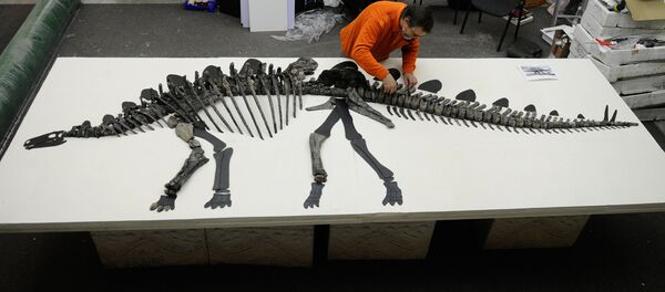 Палеонтолог, архивное фото Палеонтолог, архивное фото - Sputnik Таджикистан