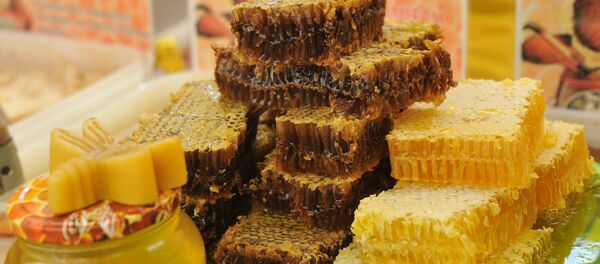 Соты с медом, архивное фото Соты с медом, архивное фото - Sputnik Таджикистан