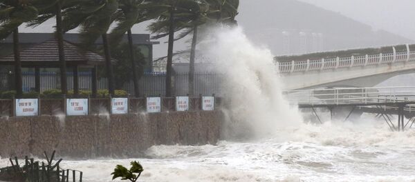 Тайфун, архивное фото Тайфун, архивное фото - Sputnik Тоҷикистон