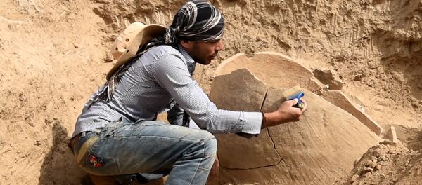 Кофтукови бостоншиносӣ дар шаҳраки қадимии Тоҷикистон - Sputnik Тоҷикистон