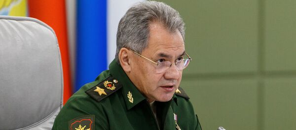 Министр обороны РФ Сергей Шойгу, архивное фото - Sputnik Тоҷикистон