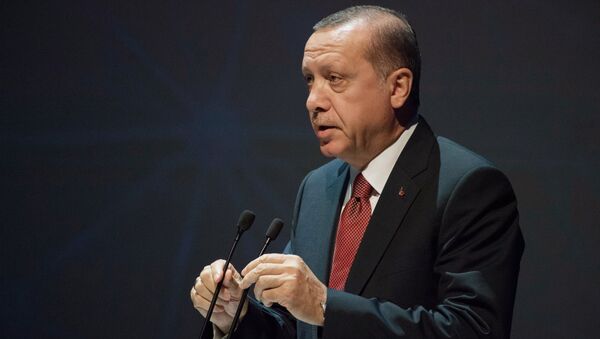 Президент Турции Реджеп Тайип Эрдоган, архивное фото - Sputnik Тоҷикистон