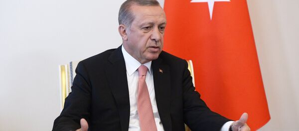 Президенти Туркия Раҷаб Тайиб Эрдуғон. Акс аз бойгонӣ - Sputnik Тоҷикистон
