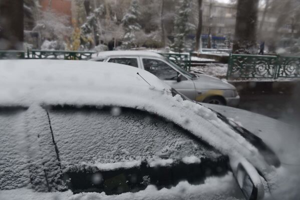 Первый снег в Душанбе: мороз и новогоднее настроение - Sputnik Таджикистан