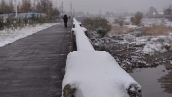 Первый снег в Душанбе: мороз и новогоднее настроение - Sputnik Тоҷикистон