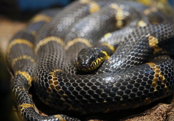 Какой сегодня праздник в Таджикистане и мире: 16 июля Какой сегодня праздник в Таджикистане и мире: 16 июля - Sputnik Таджикистан