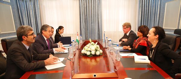 Встреча Министра иностранных дел с Постоянным Координатором ООН и Постоянным представителем ПРООН в Таджикистане - Sputnik Таджикистан