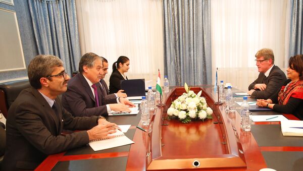 Встреча Министра иностранных дел с Постоянным Координатором ООН и Постоянным представителем ПРООН в Таджикистане - Sputnik Таджикистан