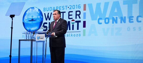 Эмомали Раҳмон зимни баромад дар саммити об адр Будапешт. Акс аз бойгонӣ - Sputnik Тоҷикистон