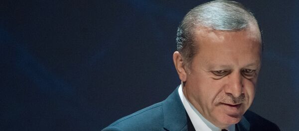 Президент Турции Реджеп Тайип Эрдоган, архивное фото - Sputnik Тоҷикистон