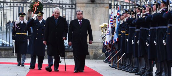 Встреча Эмомали Рахмона с президентом Чехии Милошом Земаном - Sputnik Таджикистан