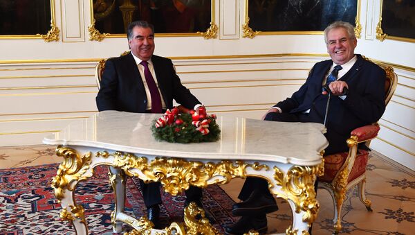 Президент Чехии Милош Земан и глава Таджикистана Эмомали Рахмон - Sputnik Таджикистан