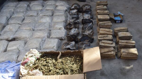 Уничтожение наркотических средств в Таджикистане, архивное фото - Sputnik Таджикистан