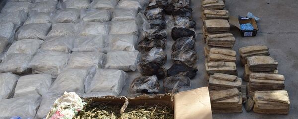 Уничтожение наркотических средств в Таджикистане - Sputnik Тоҷикистон