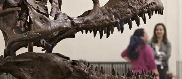 Скелет динозавра, архивное фото Скелет динозавра, архивное фото - Sputnik Таджикистан