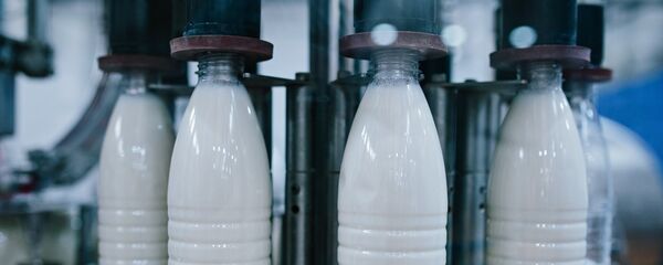 Производство молочных продуктов, архивное фото Производство молочных продуктов, архивное фото - Sputnik Тоҷикистон