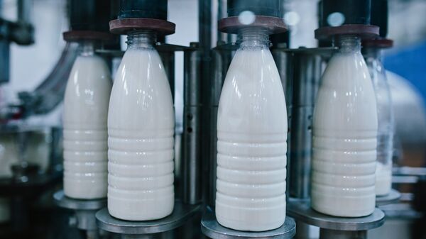 Производство молочных продуктов, архивное фото - Sputnik Тоҷикистон