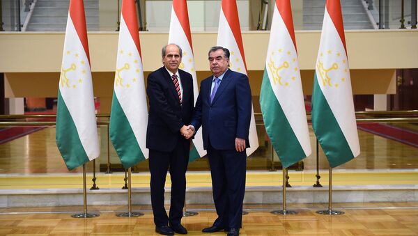 Встреча Эмомали Рахмона с Питером Бурианом - Sputnik Таджикистан