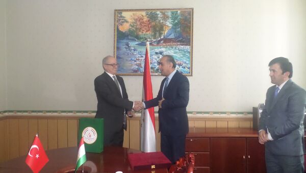 Министр культуры РТ Шамсиддин Орумбекзода встретился с послом Турции в Таджикистане Али Рифатом - Sputnik Таджикистан