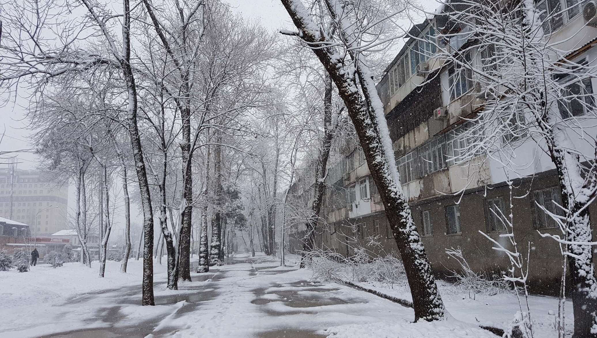 Душанбе декабрь. Городской пейзаж зима Душанбе. Таджикистан в декабре фото. Снежное Душанбе.