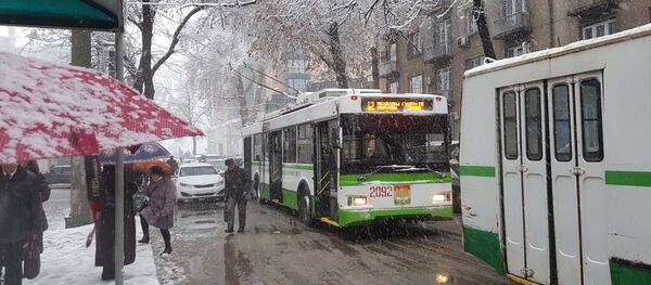 Нақлиёти ҷамъиятӣ дар Душанбе. Акс аз бойгонӣ Нақлиёти ҷамъиятӣ дар Душанбе. Акс аз бойгонӣ - Sputnik Тоҷикистон