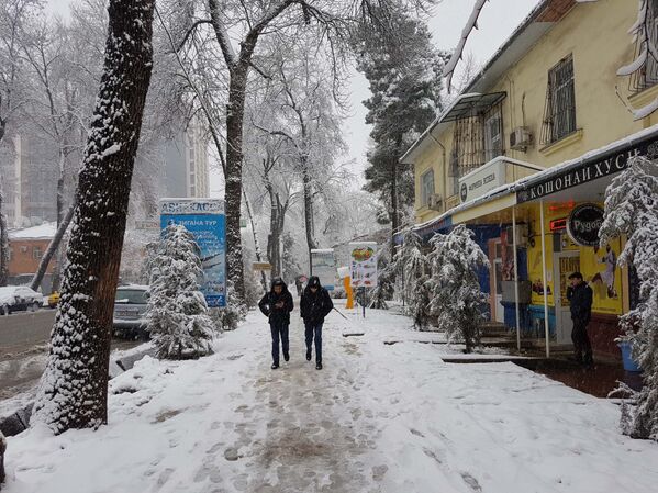 Центральные улицы Душанбе в снежном плену - Sputnik Таджикистан