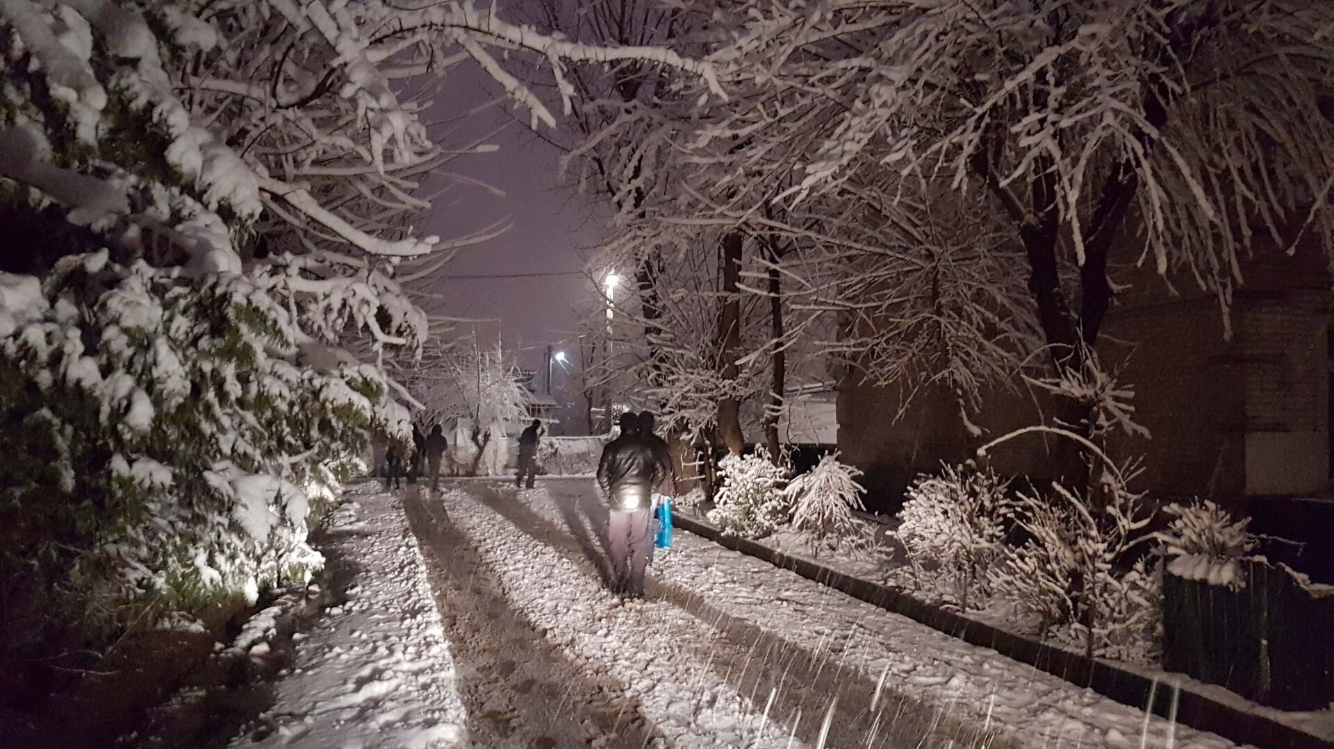 Снегопад в Душанбе, архивное фото - Sputnik Тоҷикистон, 1920, 13.12.2021