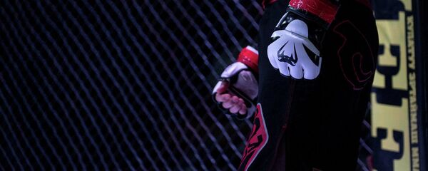 Боец боев без правил, архивное фото Боец боев без правил, архивное фото - Sputnik Таджикистан