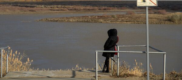 На набережной реки Сырдарьи, архивное фото На набережной реки Сырдарьи, архивное фото - Sputnik Таджикистан