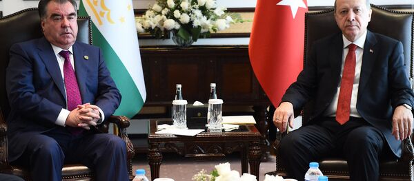 Мулоқоти Эмомалӣ Раҳмон ва Раҷаб Тайиб Эрдуғон - Sputnik Тоҷикистон