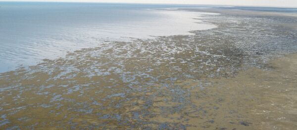 Соҳили Арал Соҳили Арал - Sputnik Тоҷикистон