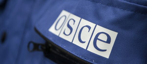 Надпись OSCE на куртке представителя ОБСЕ, архивное фото - Sputnik Тоҷикистон