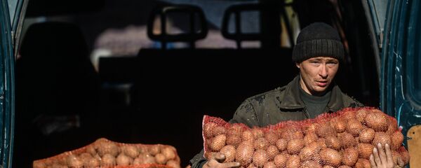 Ярмаркаи кишоварзӣ. Акс аз бойгонӣ - Sputnik Тоҷикистон