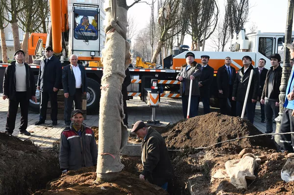 Рахмон с сыновьями посадили диковинные деревья в парке Государственного герба Рахмон с сыновьями посадили диковинные деревья в парке Государственного герба - Sputnik Тоҷикистон