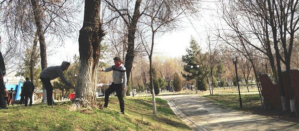 Всенародный субботник проходит в Узбекистане в преддверии Навруза - Sputnik Тоҷикистон