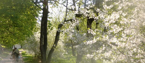 Весна, архивное фото - Sputnik Таджикистан