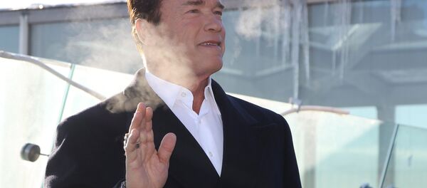 Актер Арнольд Шварценеггер, архивное фото Актер Арнольд Шварценеггер, архивное фото - Sputnik Таджикистан