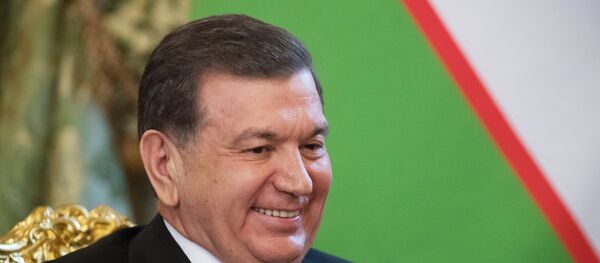 Президент РФ В. Путин встретился с президентом Узбекистана Ш. Мирзиеевым - Sputnik Таджикистан