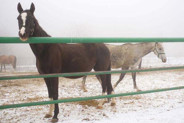 Какой сегодня праздник в Таджикистане и мире: 28 апреля - Sputnik Таджикистан