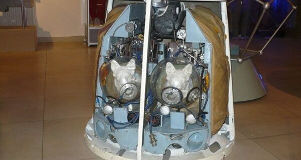 Костюм для собак-космонавтов - Sputnik Таджикистан