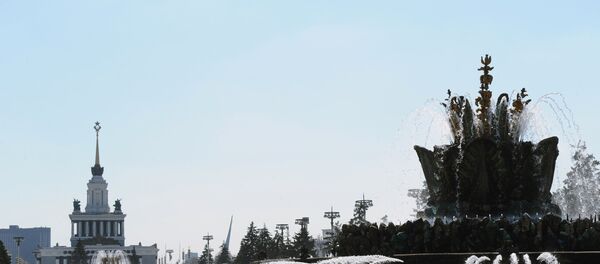 Фонтан Каменный цветок на ВВЦ - Sputnik Таджикистан