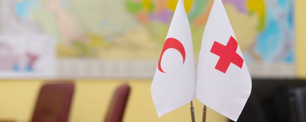 Настольные флаги Красного Полумесяца и Красного Креста - Sputnik Тоҷикистон