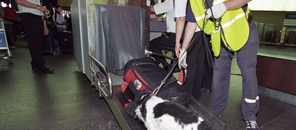 Проверка багажа в аэропорту - Sputnik Тоҷикистон