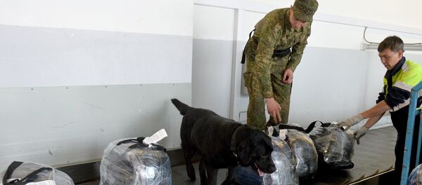 Кинологическая служба таможни - Sputnik Таджикистан