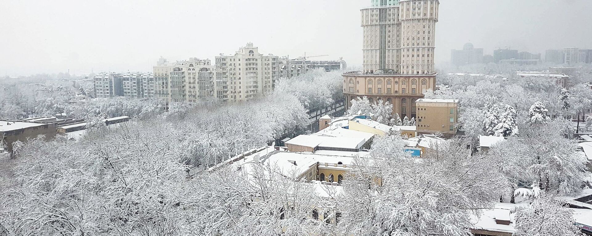 Снегопад в Душанбе - Sputnik Тоҷикистон, 1920, 10.01.2023
