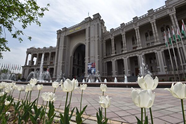 Безбашенный вариант: как решить архитектурный кризис Душанбе - Sputnik Таджикистан