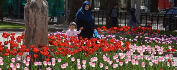 Город Душанбе, архивное фото - Sputnik Тоҷикистон