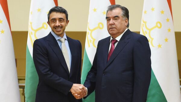 Встреча Рахмона с министром иностранных дел Объединенные Арабские Эмираты - Sputnik Таджикистан