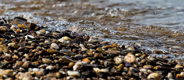 Берег озера, архивное фото - Sputnik Тоҷикистон