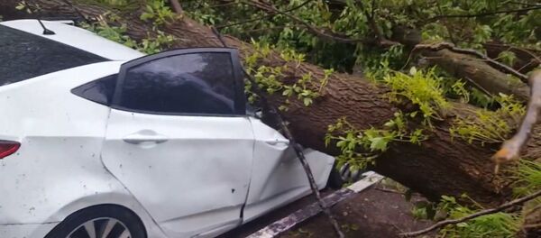 Ураган в Москве - Sputnik Тоҷикистон